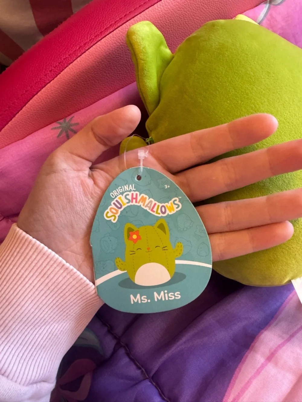 New 8 inch Squishmallows Ms. Miss the Cactus Cat plush toy